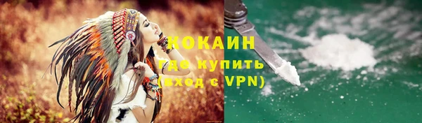 сатива Аркадак