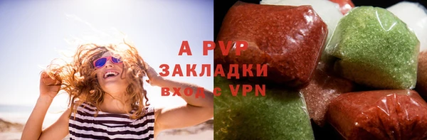 сатива Аркадак