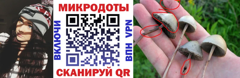 Псилоцибиновые грибы мухоморы  Купить  Мещовск 